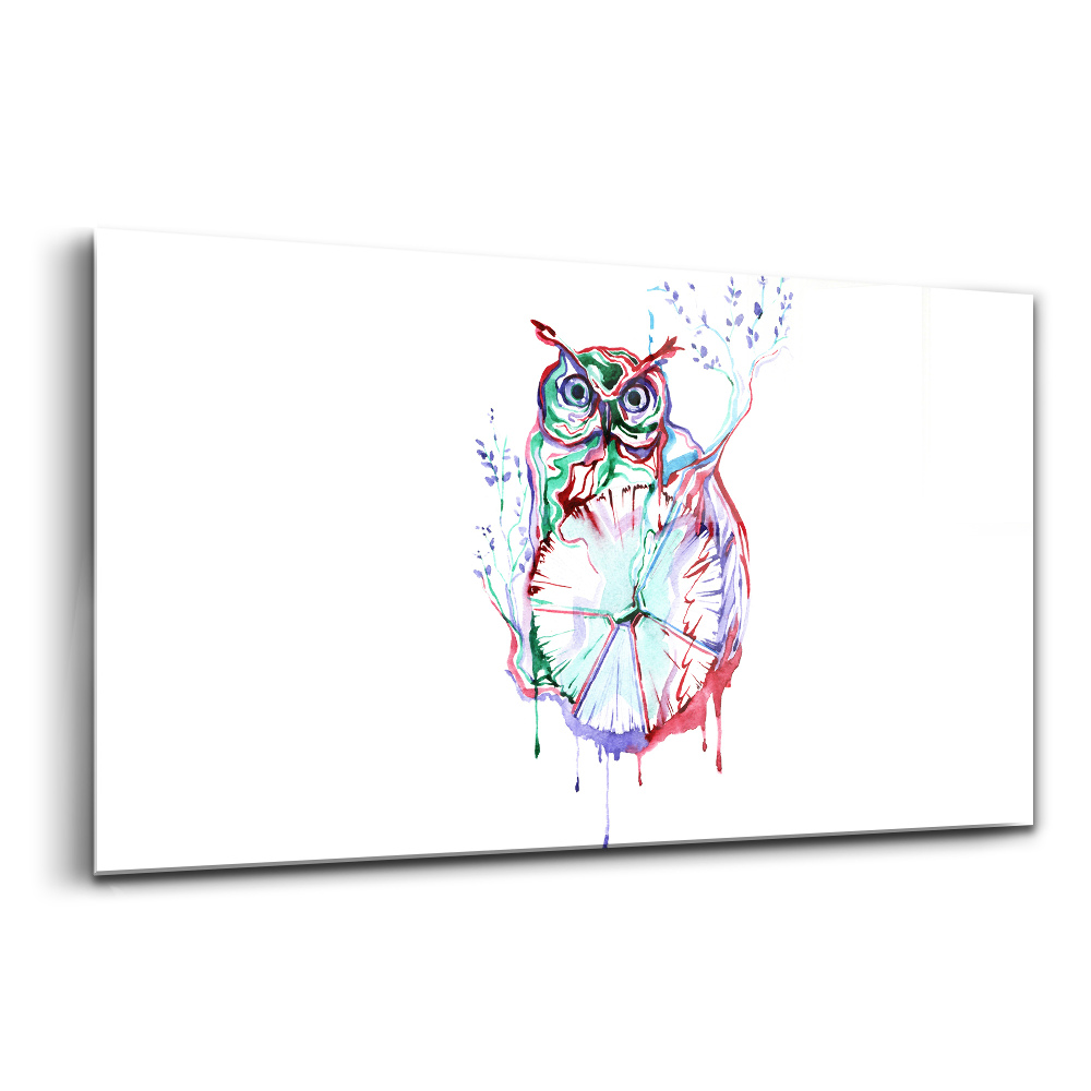 Skleněný obraz Ilustrace sovy a hodin