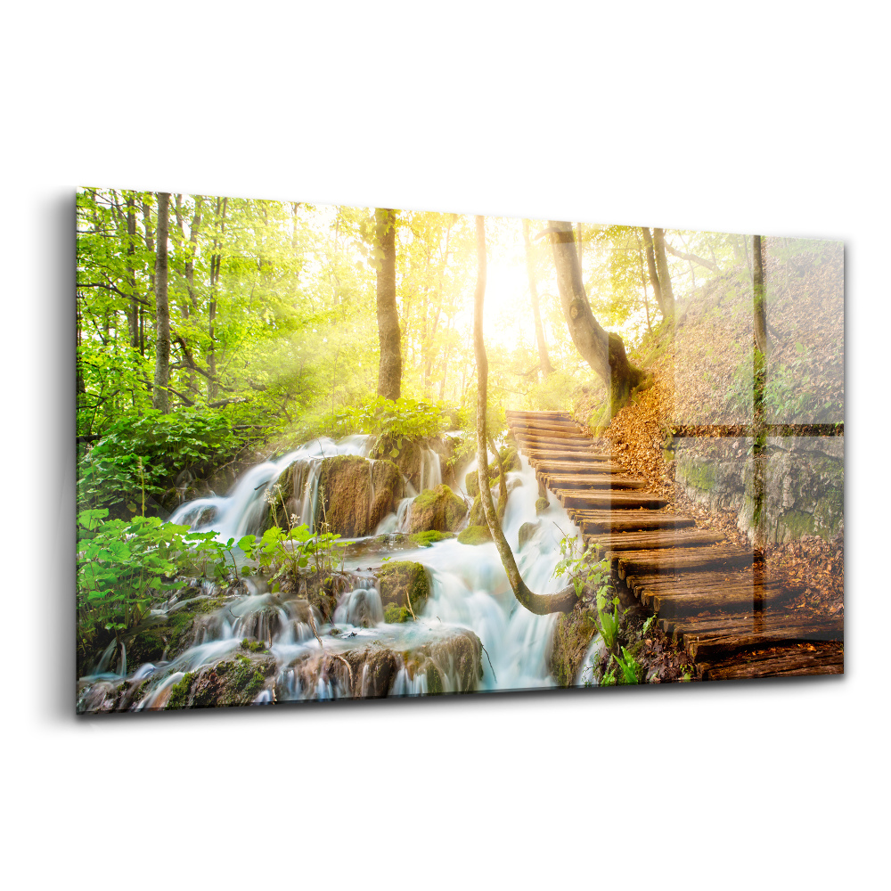 Skleněný obraz Lesní potok