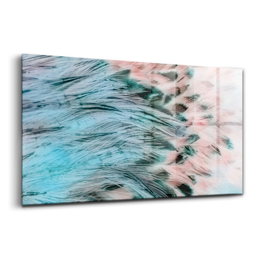 Skleněný obraz Barevné peří