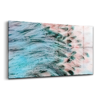 Skleněný obraz Barevné peří