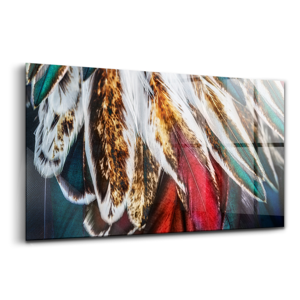 Skleněný obraz na zeď Světle hnědé ptačí peří