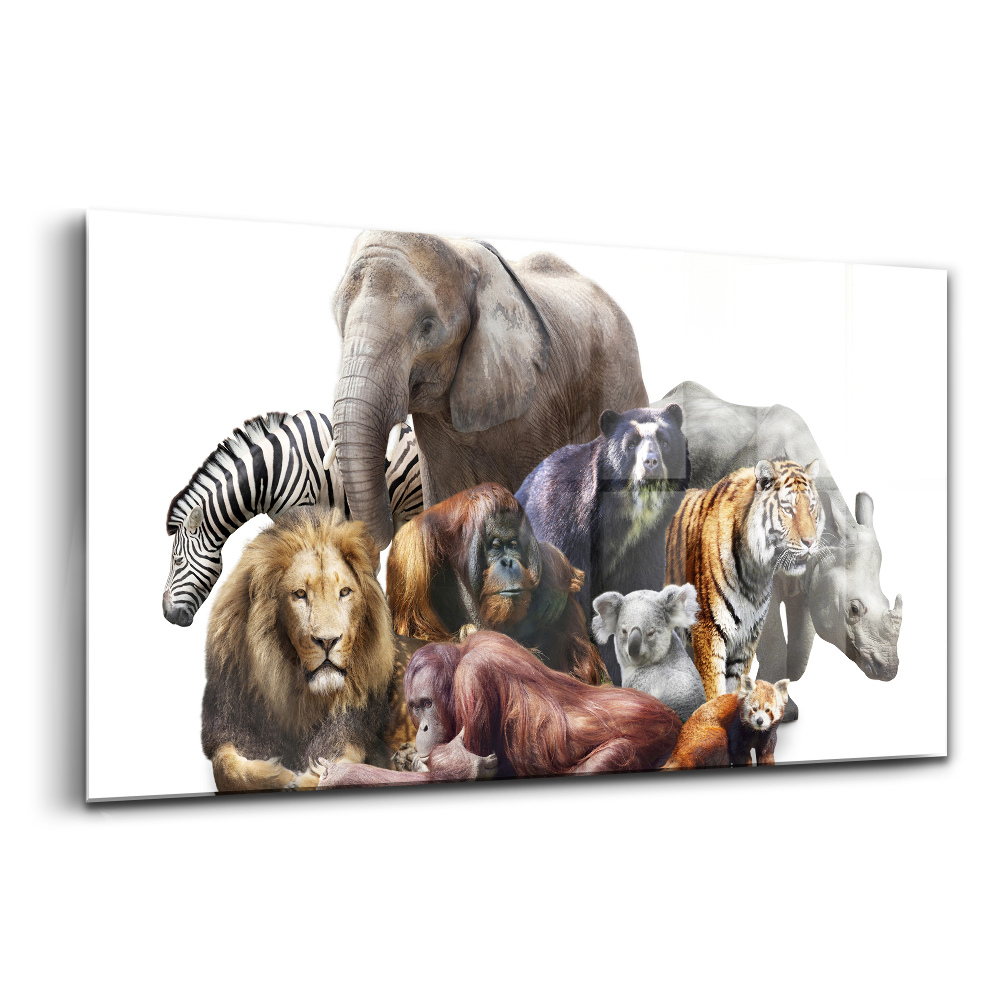 Skleněný obraz na stěnu Divoká zvířata