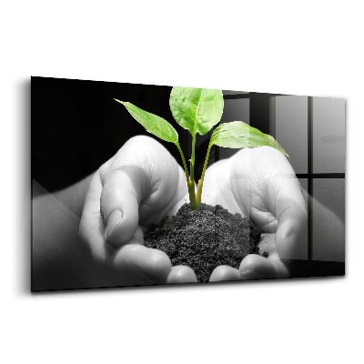 Luxusní skleněný obraz Rostlina v rukou