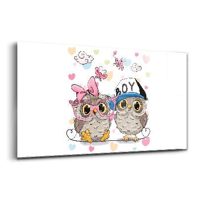 Skleněný obraz na stěnu Dvě sladké sovy