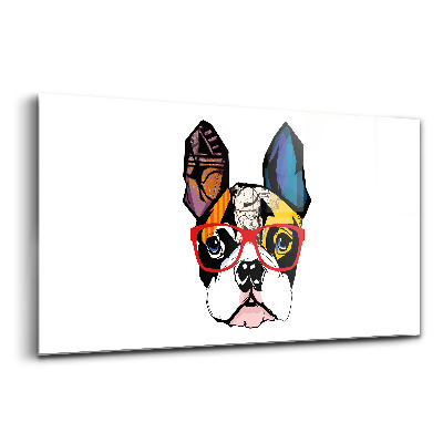 Skleněný obraz Francouzský buldoček s brýlemi