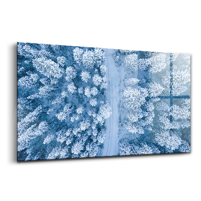 Skleněný obraz na stěnu Les z ptačí perspektivy z dronu