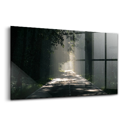 Luxusní skleněný obraz Lesní cesta a sluneční pruhy