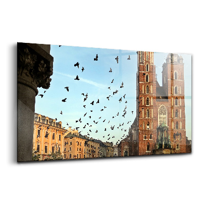 Skleněný obraz na zeď Holubi v krakově