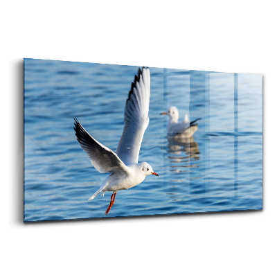 Obraz ze skla Racci v Gdyni