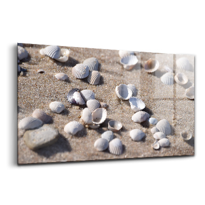 Skleněný obraz na stěnu Mušle na pláži
