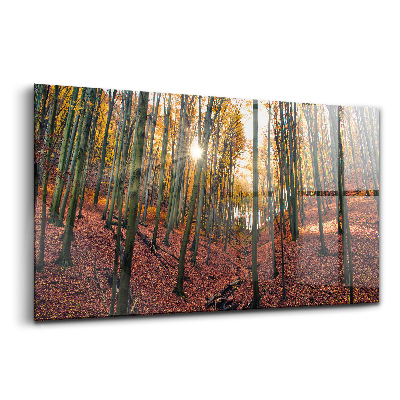 Luxusní skleněný obraz Západ slunce a stromy