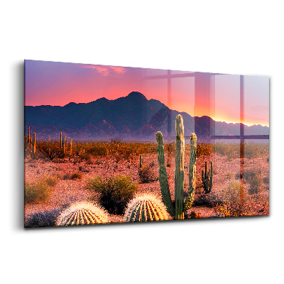 Obraz ze skla Západ slunce v poušti