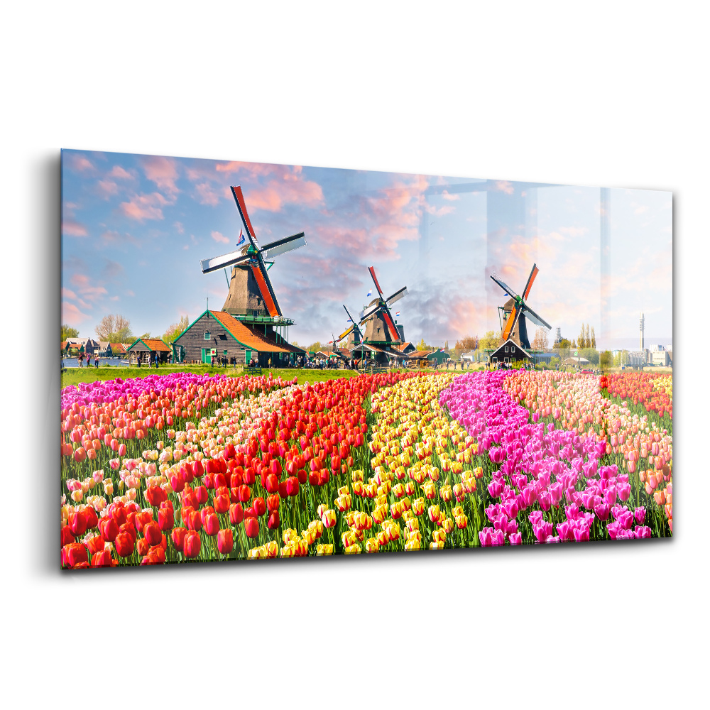 Skleněný obraz na stěnu Krajina s tulipány Nizozemsko