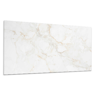 Panel na zeď Elegantní mramorový vzor