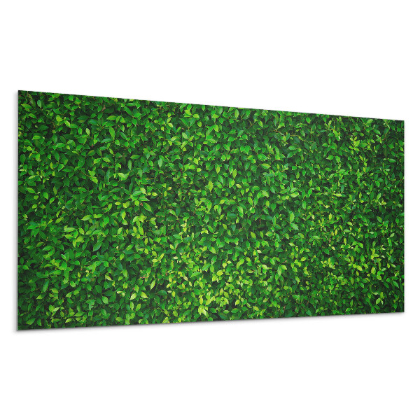 Dekoracni panel Hustá zeď z listí