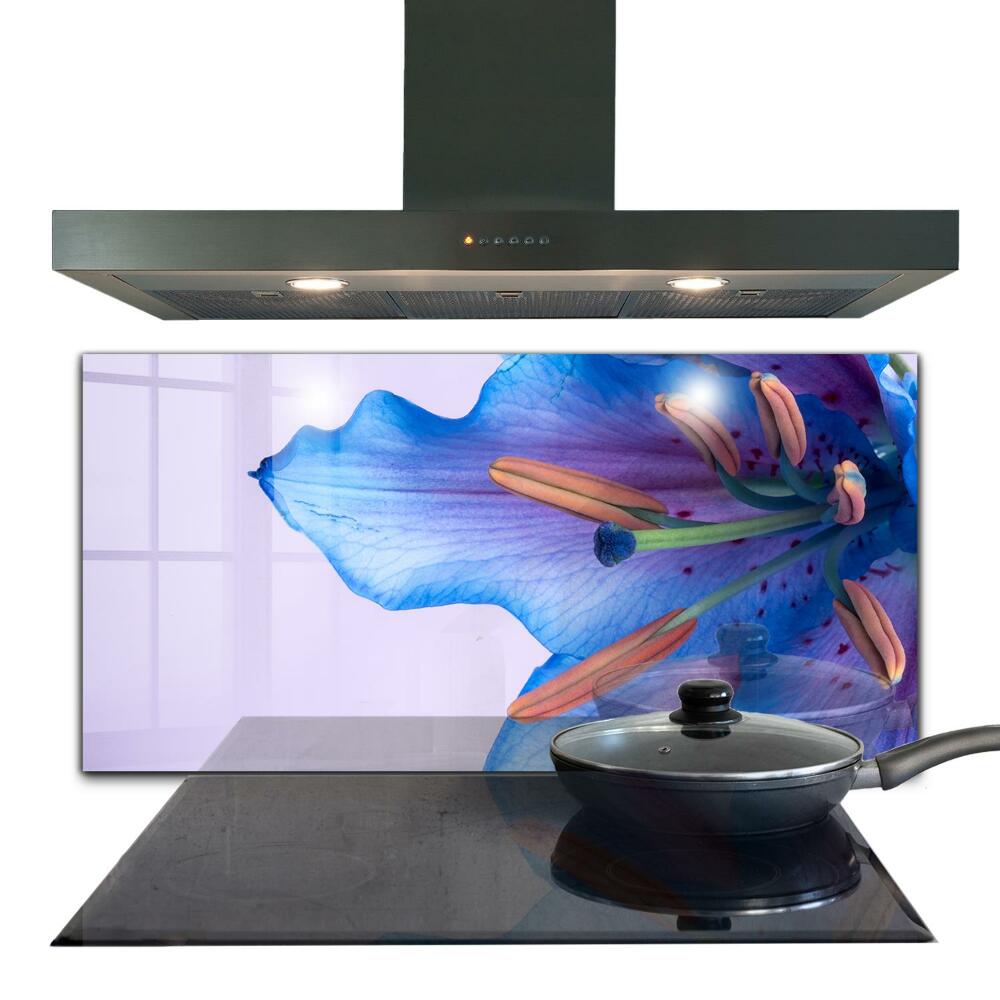 Nástěnný panel do kuchyně Krásná modrá lilie