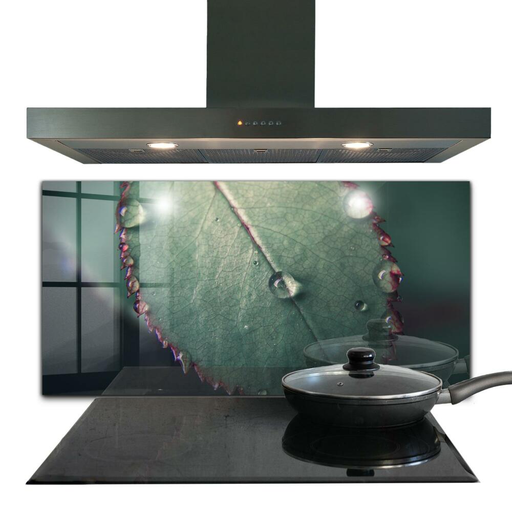 Nástěnný panel do kuchyně List s kapkou růže