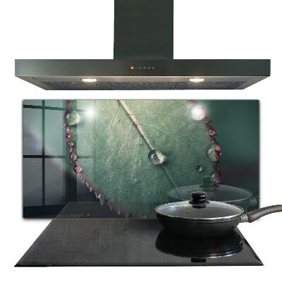 Nástěnný panel do kuchyně List s kapkou růže