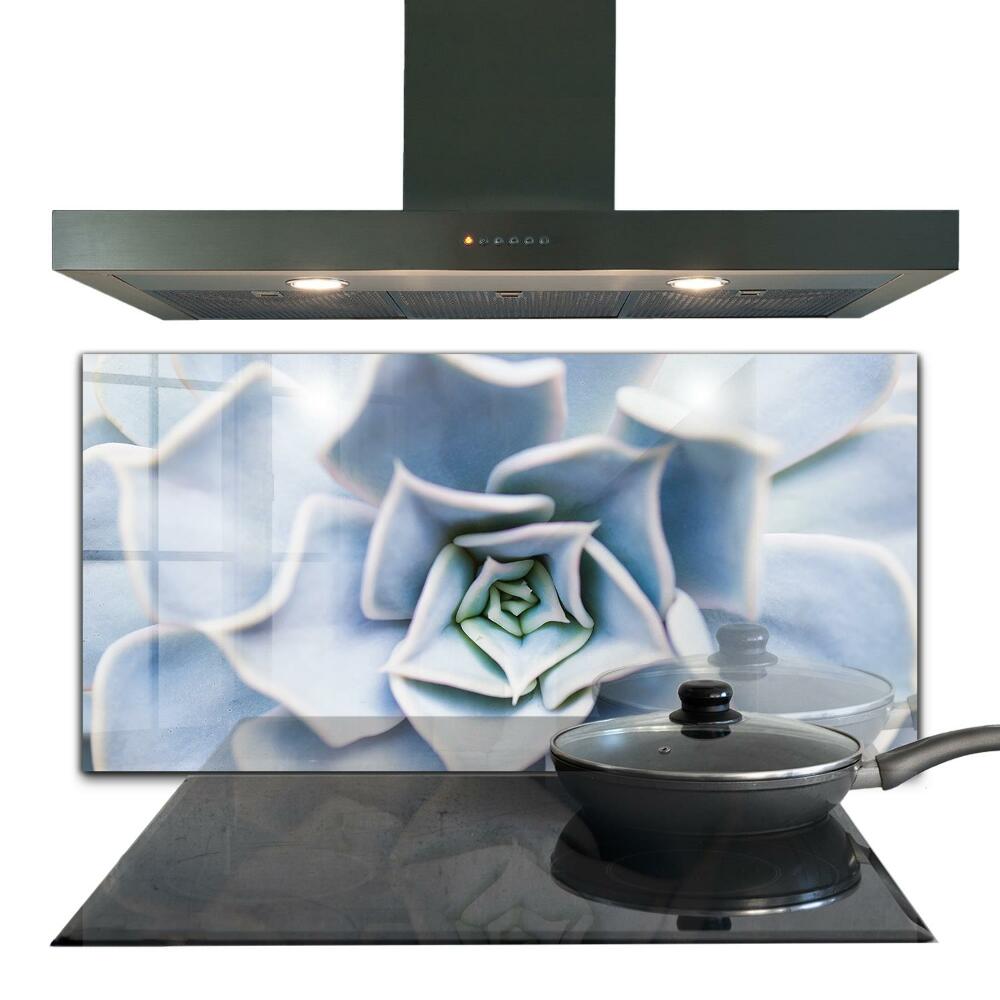 Nástěnný panel do kuchyně Sukulentní kaktus