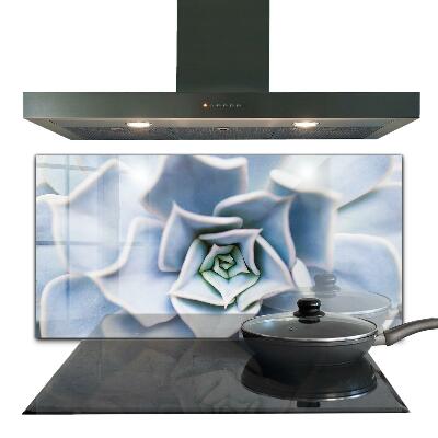 Nástěnný panel do kuchyně Sukulentní kaktus