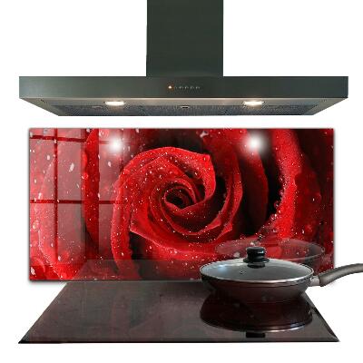 Nástěnný panel do kuchyně Kapky rosy na červené růži