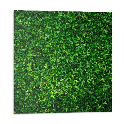 Obkladový panel Hustý les listí