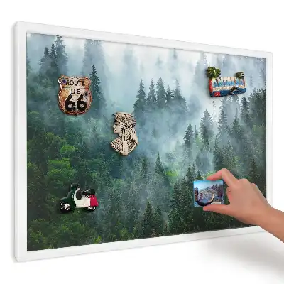 Magnetická tabule do kuchyně Mlžný les na slunci