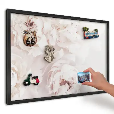 Magnetická tabule do kuchyně Bílé pivoňky na světlém pozadí