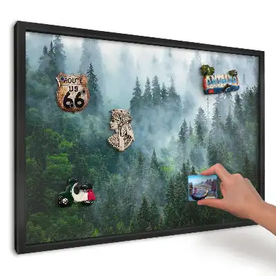 Magnetická tabule Mlžný les na slunci