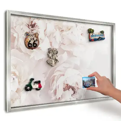 Magnetická tabule Bílé pivoňky na světlém pozadí