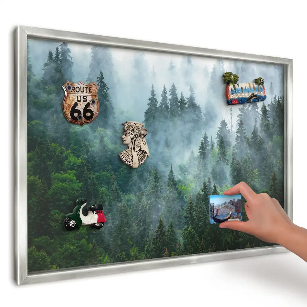 Magnetická tabule na zeď Mlžný les na slunci