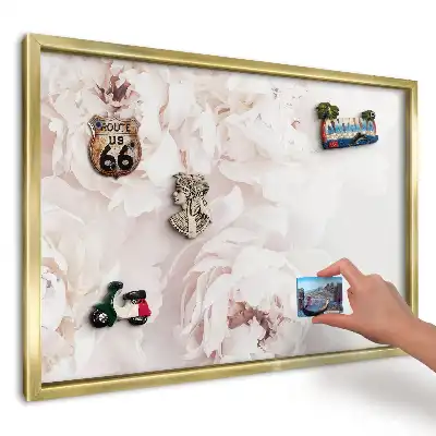 Magnetická nástěnka Bílé pivoňky na světlém pozadí