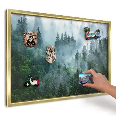 Magnetická tabule Mlžný les na slunci