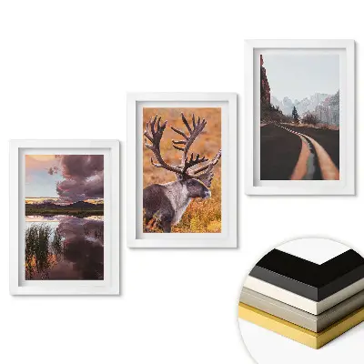 Triptych Příroda ve třech verzích v rámu
