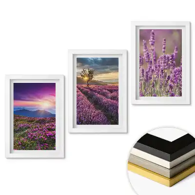 Triptych v rámu Krajina levandulových polí při západu slunce