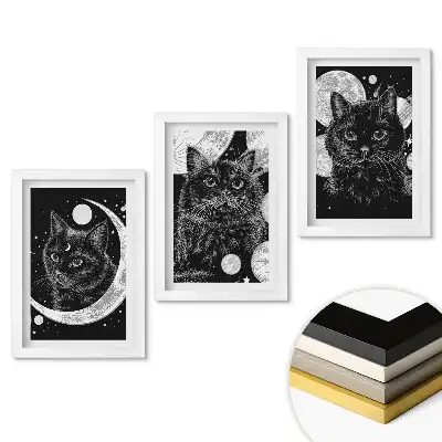 Triptych v rámu Kočky v kosmické noční scéně