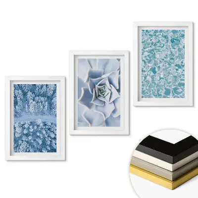 Triptych Zimní krajina a křehké květiny v rámu