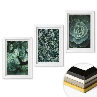 Triptych v rámu Zelená krása přírody ve třech obrazech