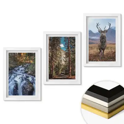 Triptych Příroda ve třech verzích v rámu