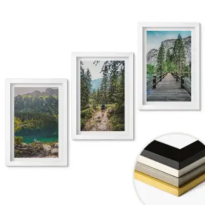 Rámovaný triptych Příroda ve třech verzích