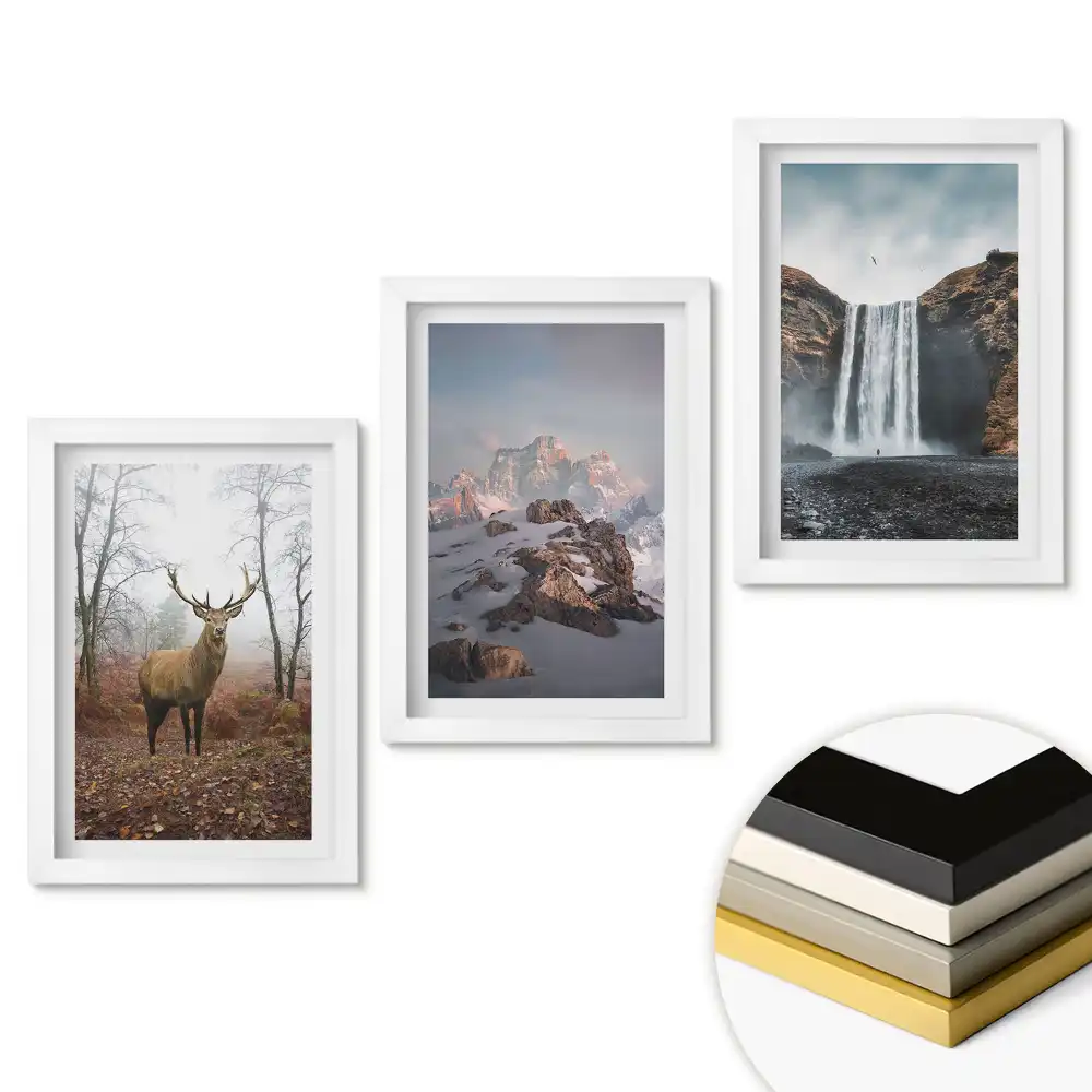 Triptych v rámu Příroda ve třech verzích