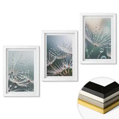 Sada obrazů do obývacího pokoje Kapky rosy na jemném peří