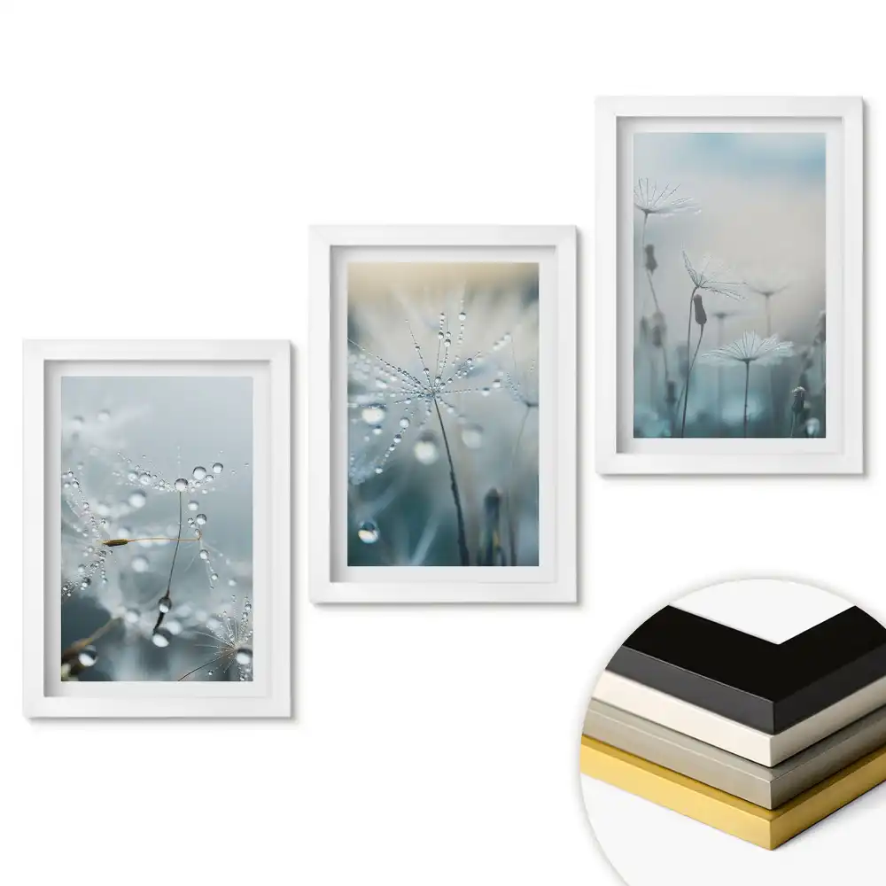 Triptych v rámu Kapky rosy na jemných květinách