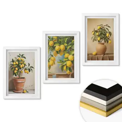 Triptych v rámu Citronové květy v různých aranžmá