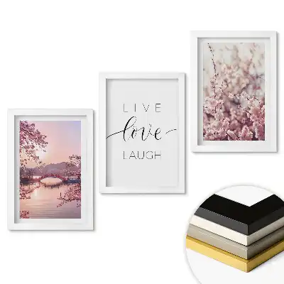 Triptych Květiny a inspirativní poselství života v rámu