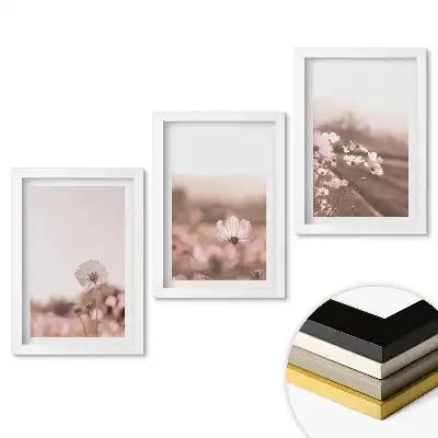 Set obrazů do obývacího pokoje Květiny v jemných odstínech růžové