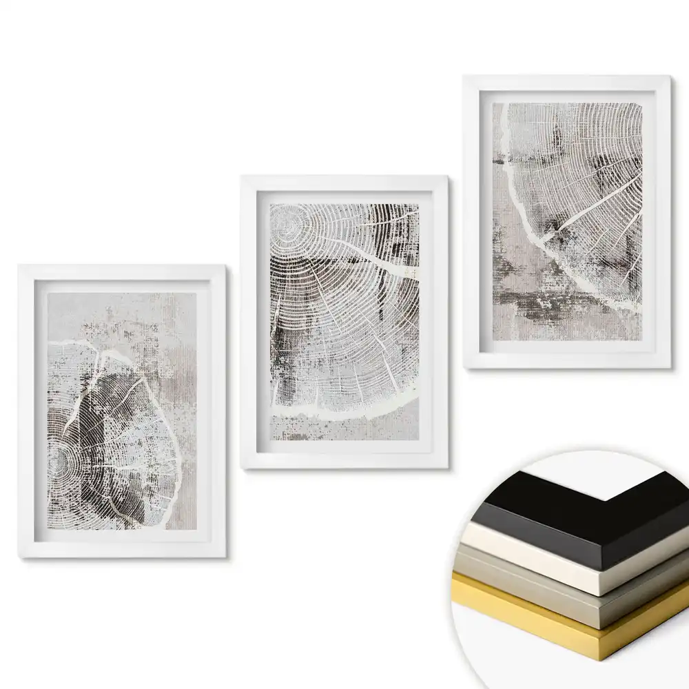 Triptych v rámu Přirozená krása v minimalistickém stylu