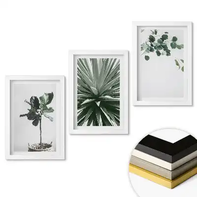Triptych v rámu Inspirace rostlinami v minimalistickém stylu