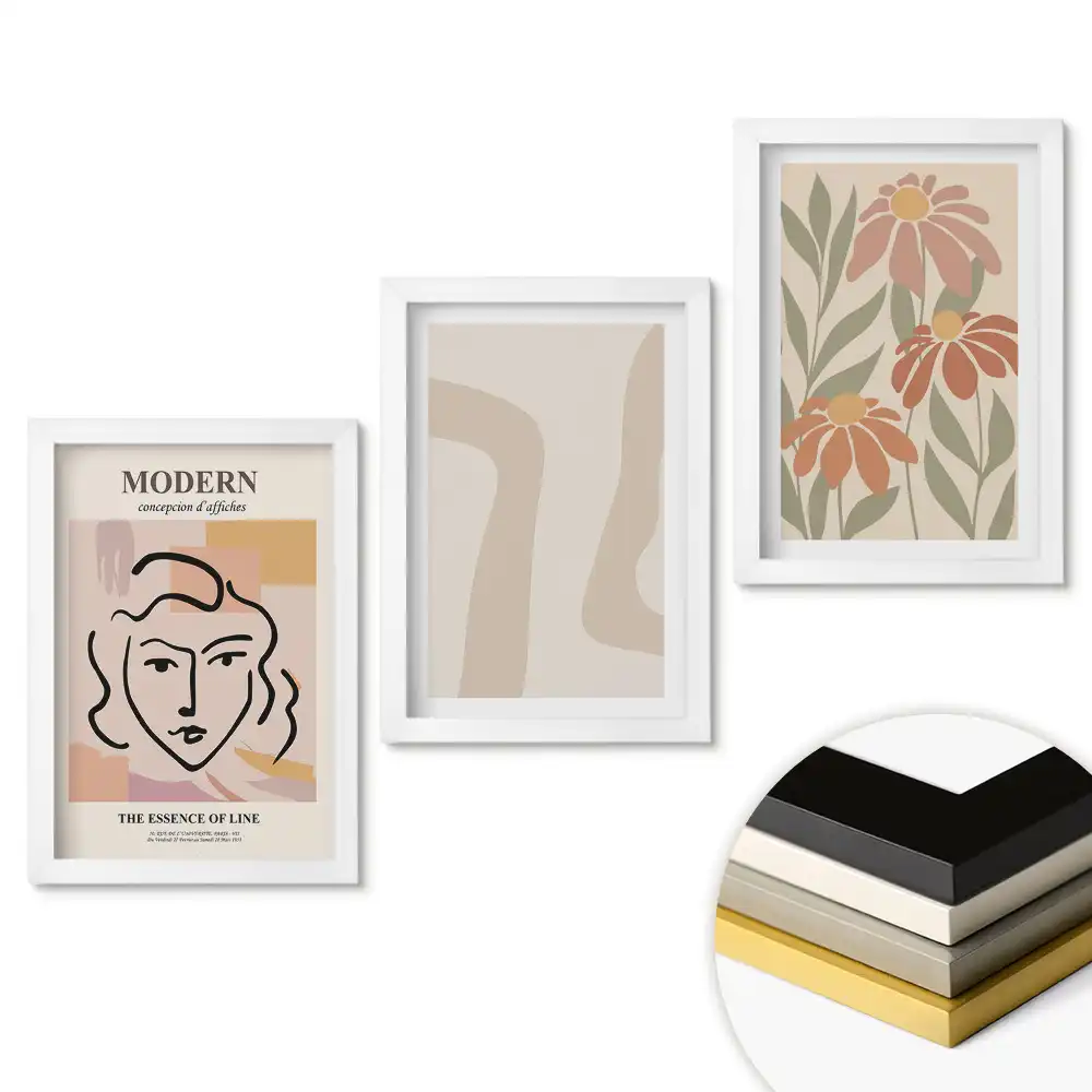 Triptych v rámu Moderní grafika s květinami a linkami