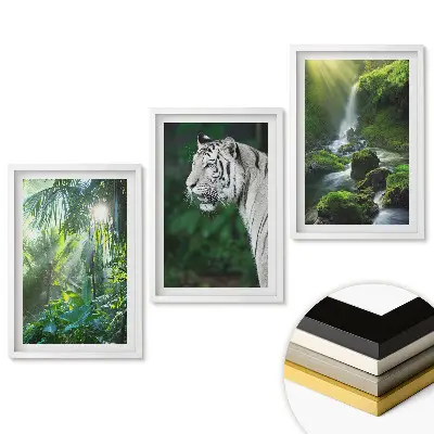 Triptych v rámu Příroda ve třech verzích